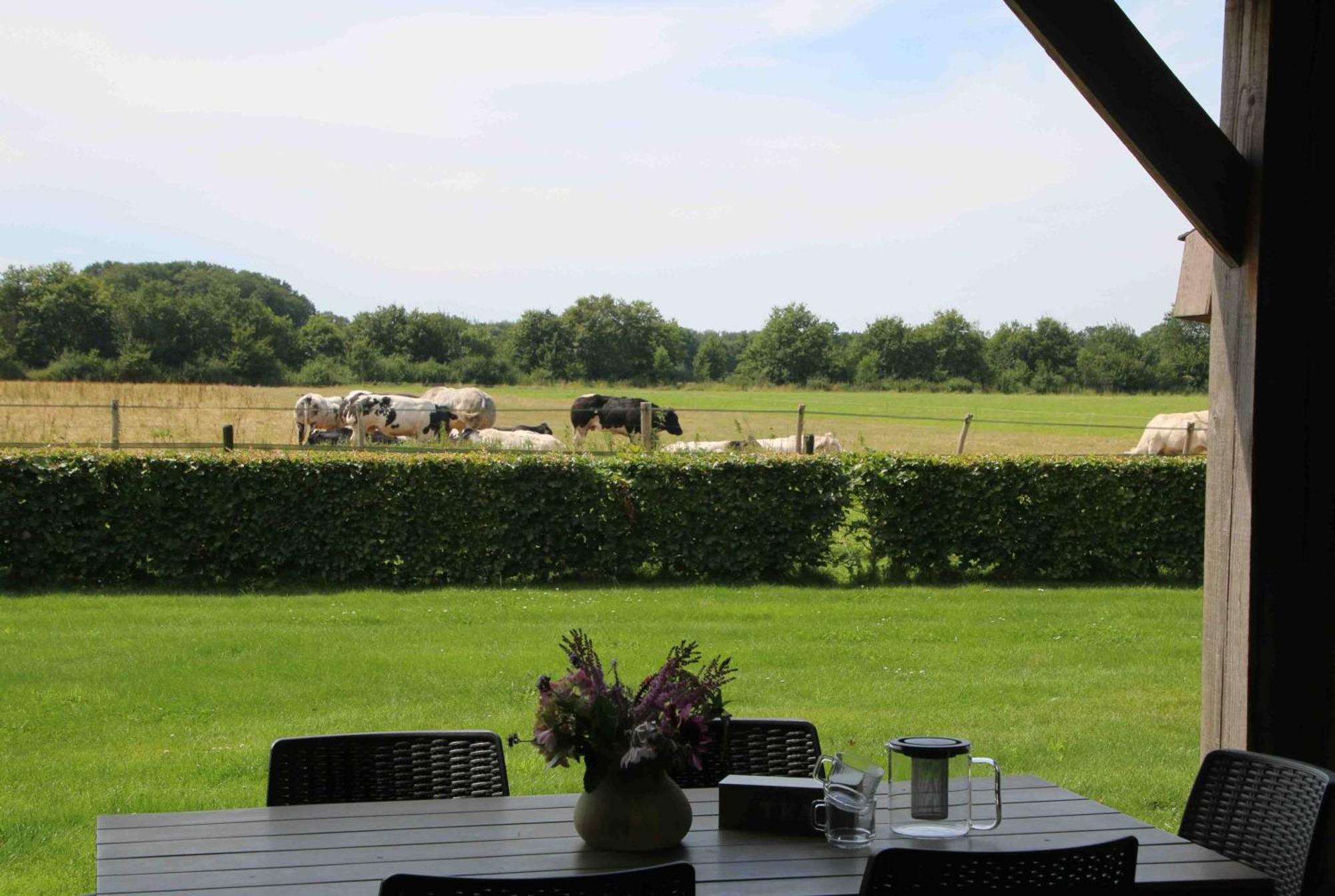Vakantiehuis Weideblik Biezenmortel Esterno foto